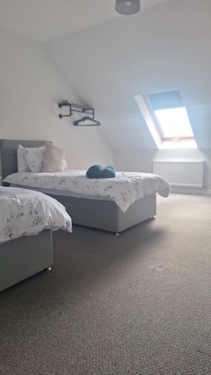 A bedroom with two beds, a skylight, and a radiator.