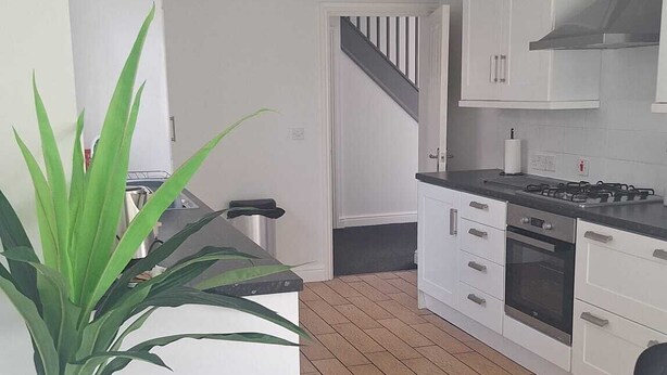 A modern kitchen with white cabinets, a stove, and a large plant. - Modern large four bedroomed detached home (Toton)