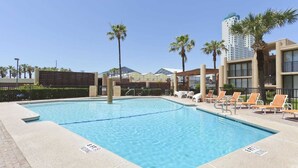 Ein rechteckiger Pool mit klarem, blauem Wasser, umgeben von Liegestühlen und Palmen.