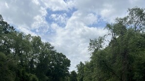 A riverbank with a sandy beach, trees, and a clear sky. - River`s Edge Retreat (McComb)