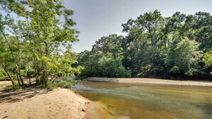 A riverbank with trees and a sandy area.