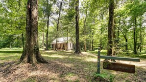A cabin in a wooded area with a sign reading 'WILD FERN.'