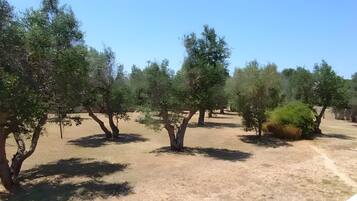 Enceinte de lâhĂ©bergement
