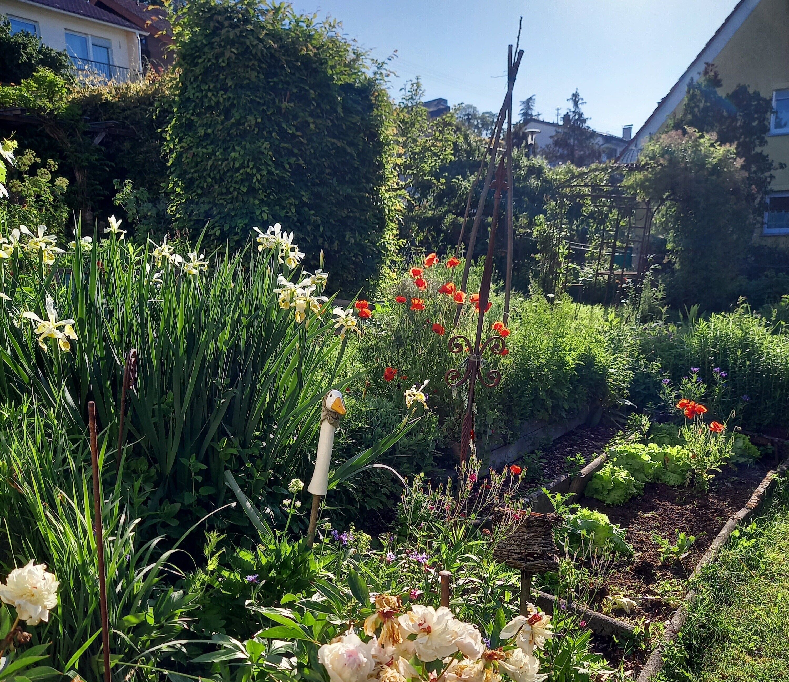 A garden with various plants and flowers, including yellow and red blooms, and a wooden structure.