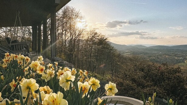 Um jardim com flores amarelas, uma área de estar coberta e vista para colinas ao longe.