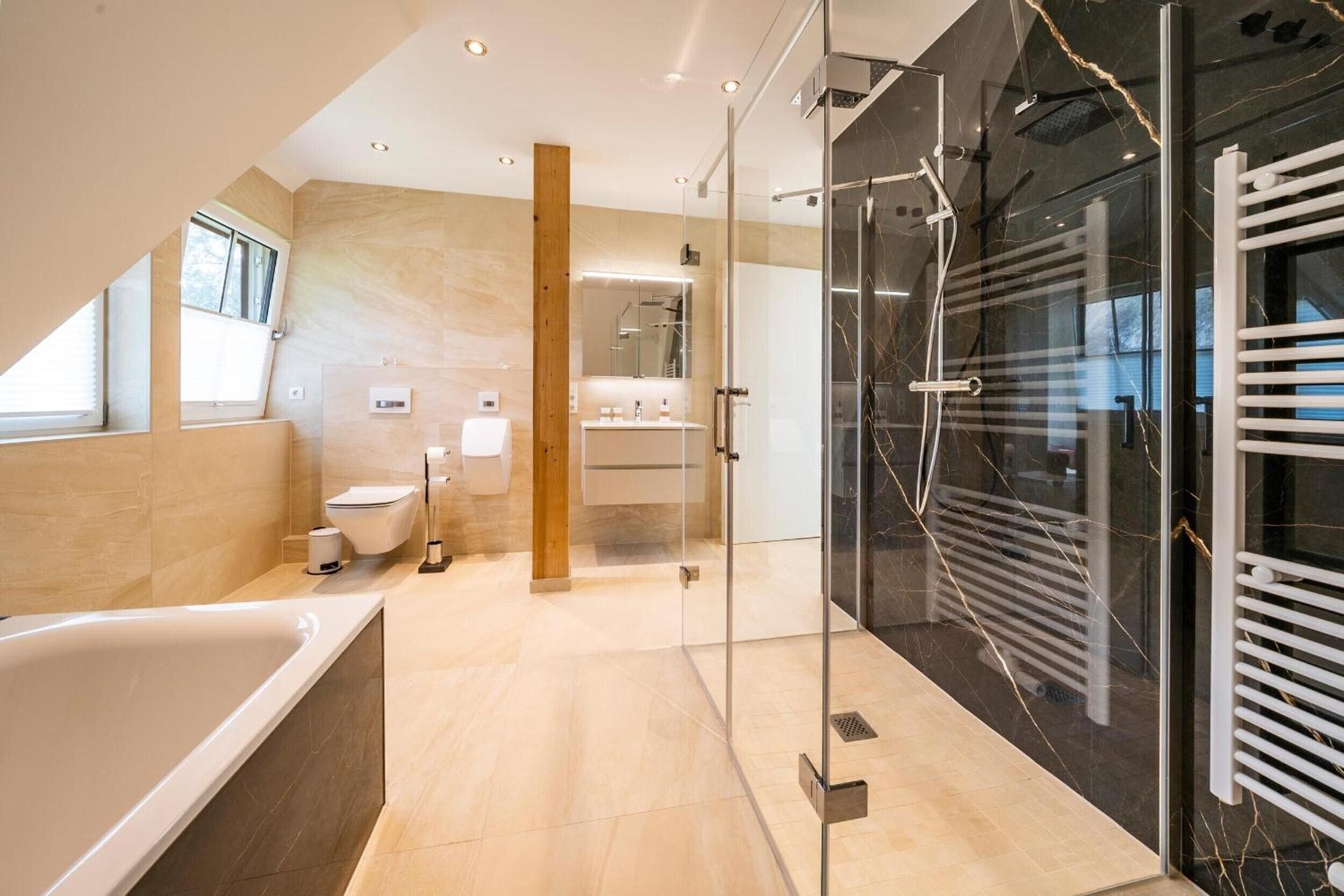 Shower, hair dryer, towels