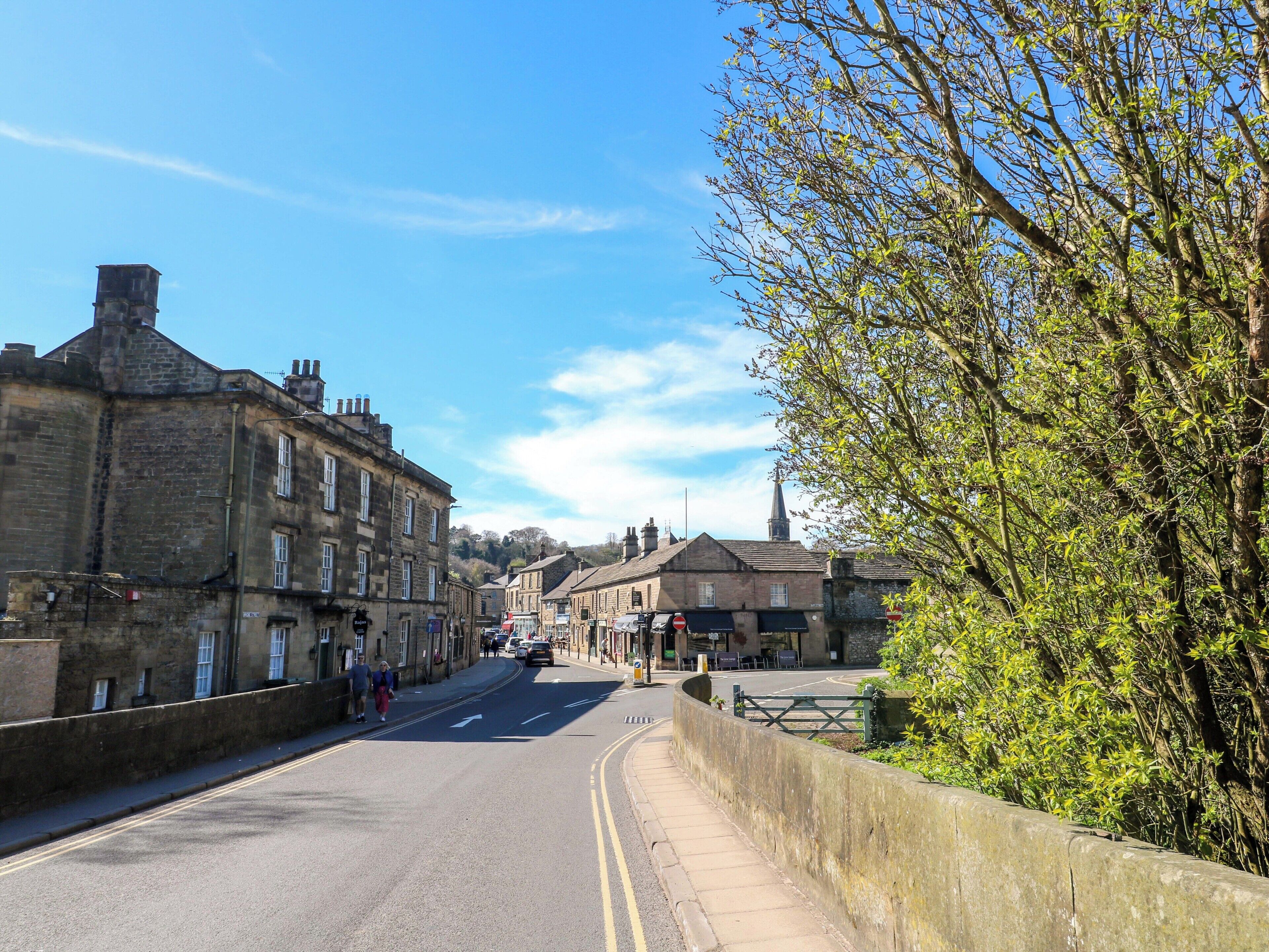 A street with buildings, a clear sky, and a tree.
