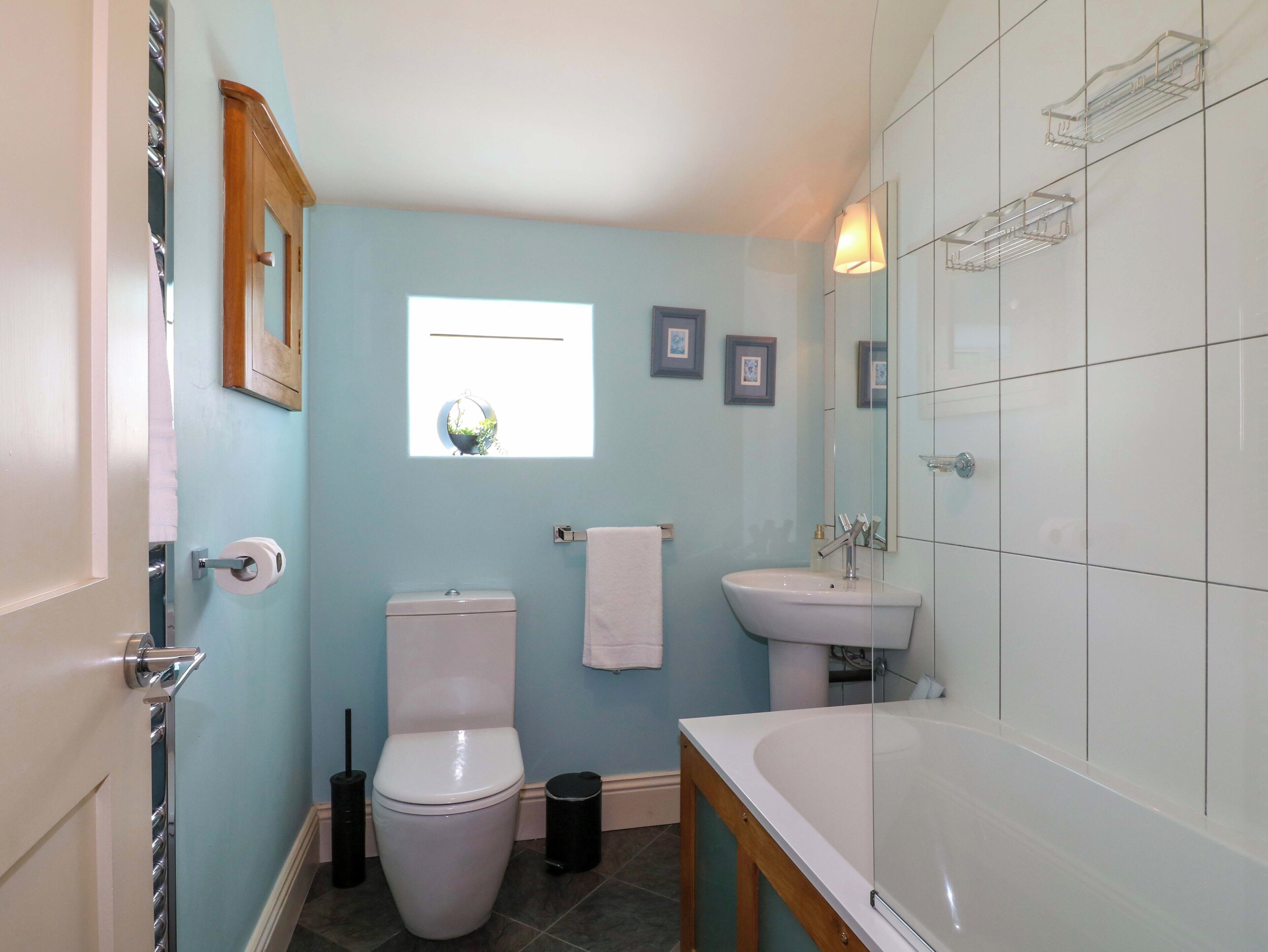 Shower, hair dryer