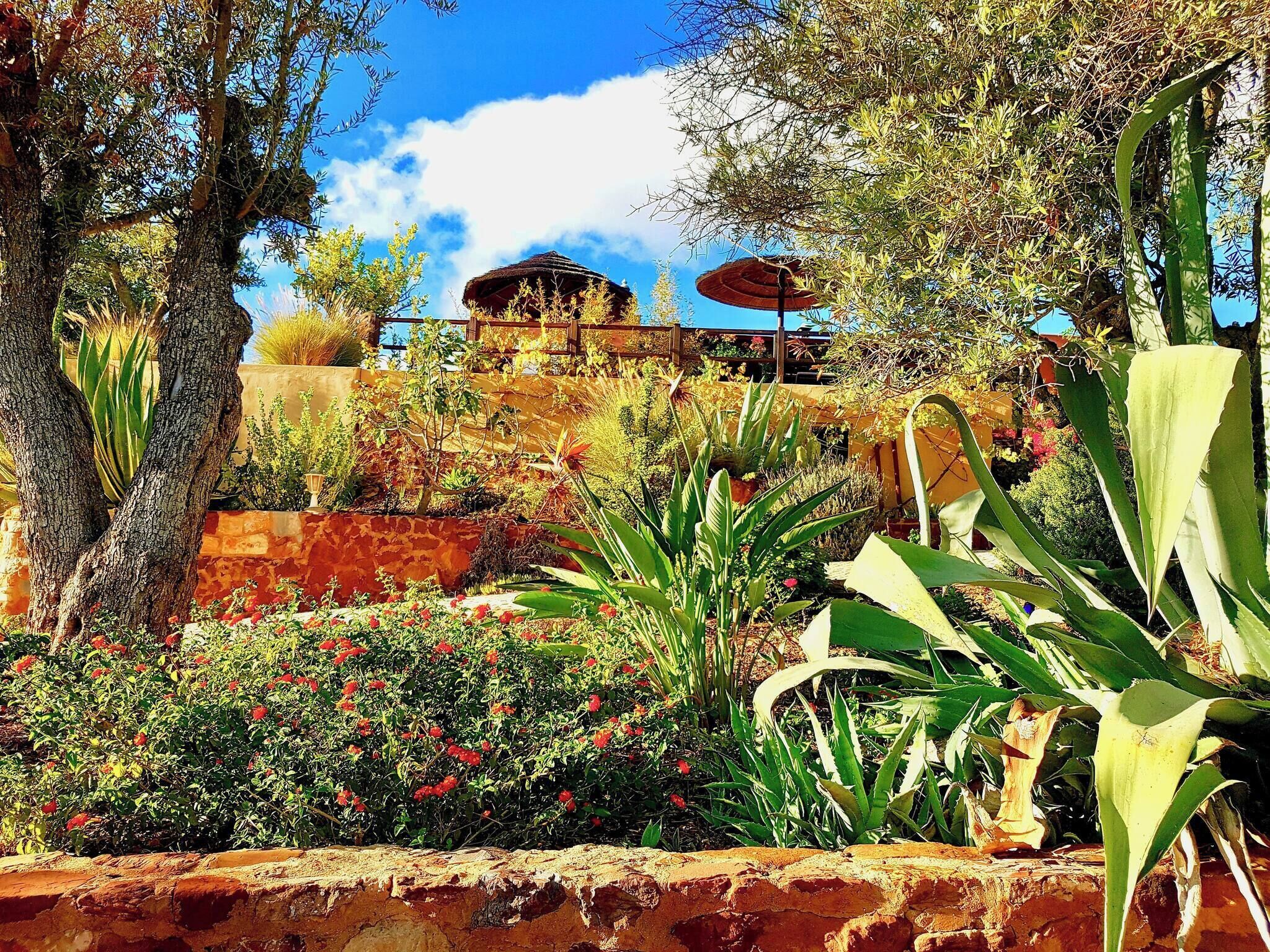 Bungalow, 1 Bedroom, Patio, Garden View | Garden