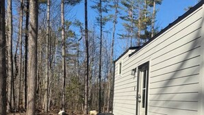 A cabin with a white exterior, surrounded by tall pine trees. - Tiny House in the Woods (Oakland)