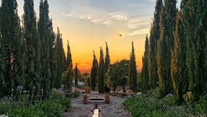 Uma trilha de pedra leva a uma área central com superfície refletora, cercada por altas árvores de cipreste e diversas plantas.