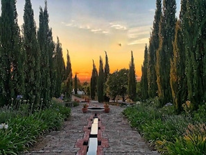 A stone pathway leading to a central area with a reflective surface, surrounded by tall cypress trees and various plants. - Quinta Nova – Charming Guest House – Arrábida (Azeitão)