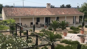 Um edifício com telhado de azulejos, um jardim com plantas em vasos e um caminho de cascalho.