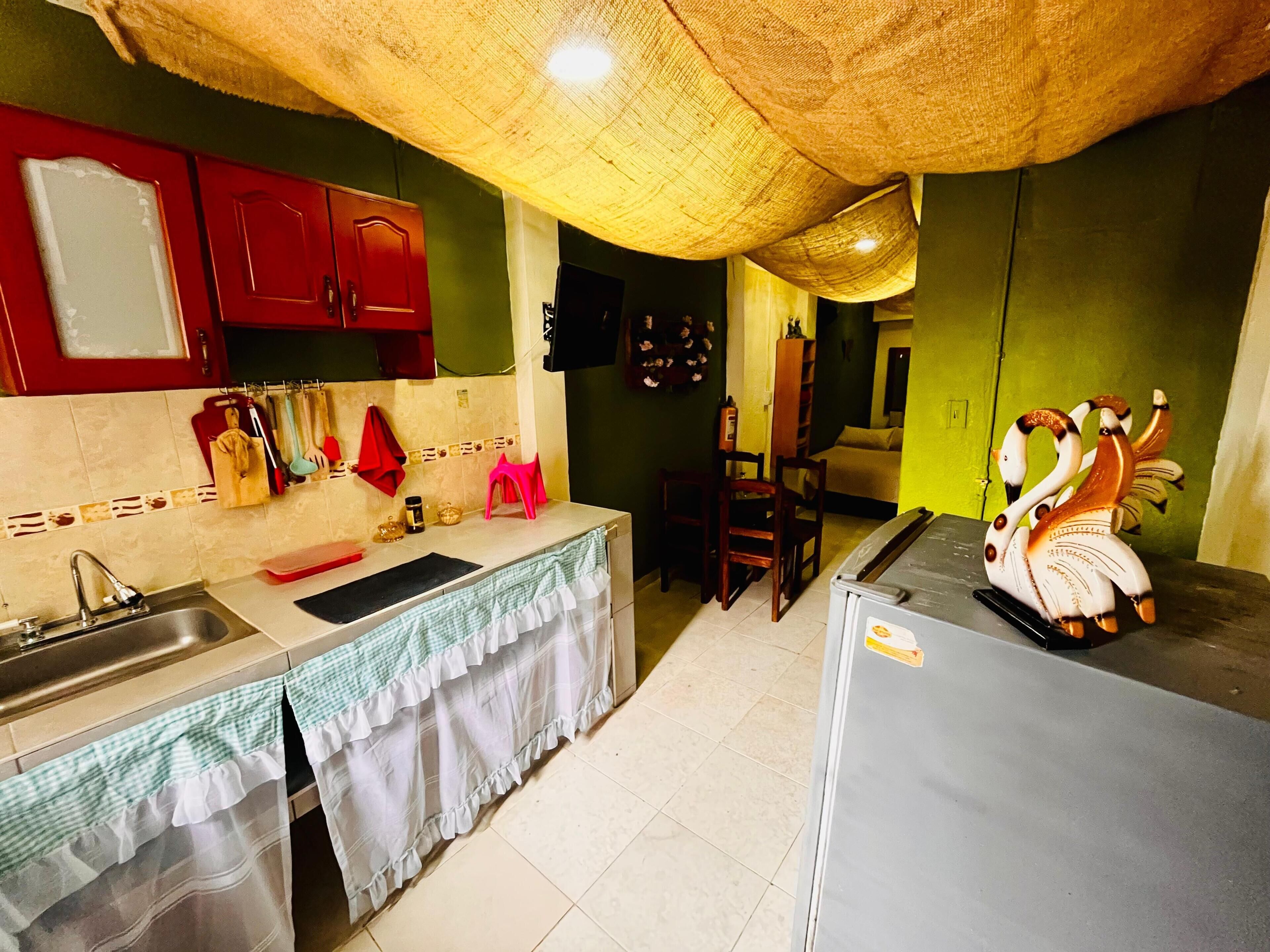 Comfort Apartment, Pets Allowed, City View | Private kitchen | Full-size fridge, stovetop, cookware/dishes/utensils