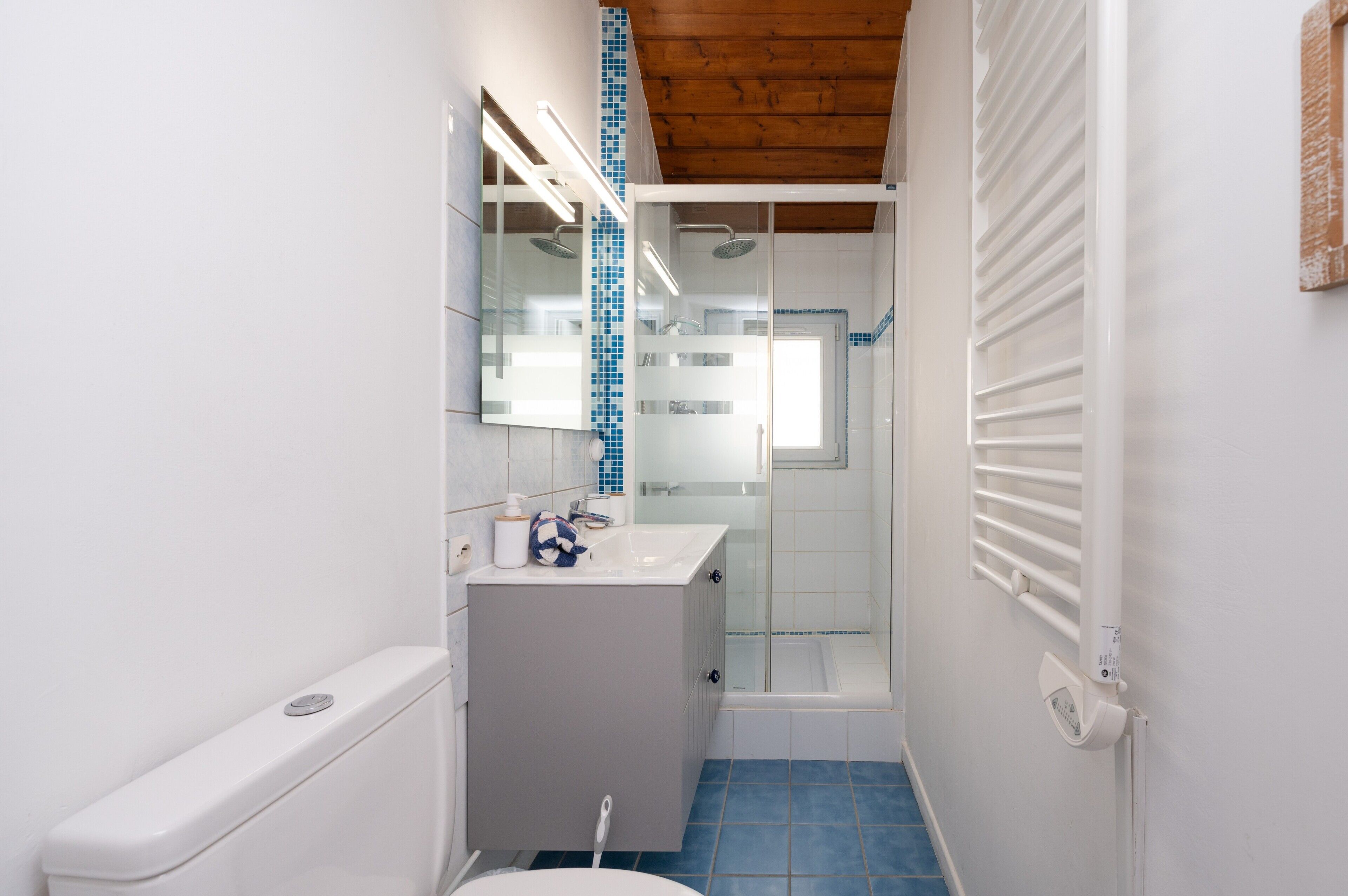 Shower, hair dryer