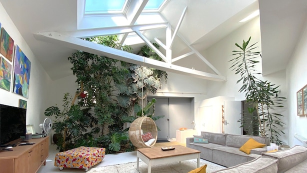 A modern living room with a high ceiling, a large plant wall, a hanging chair, a sofa with cushions, and a television on a wooden cabinet.