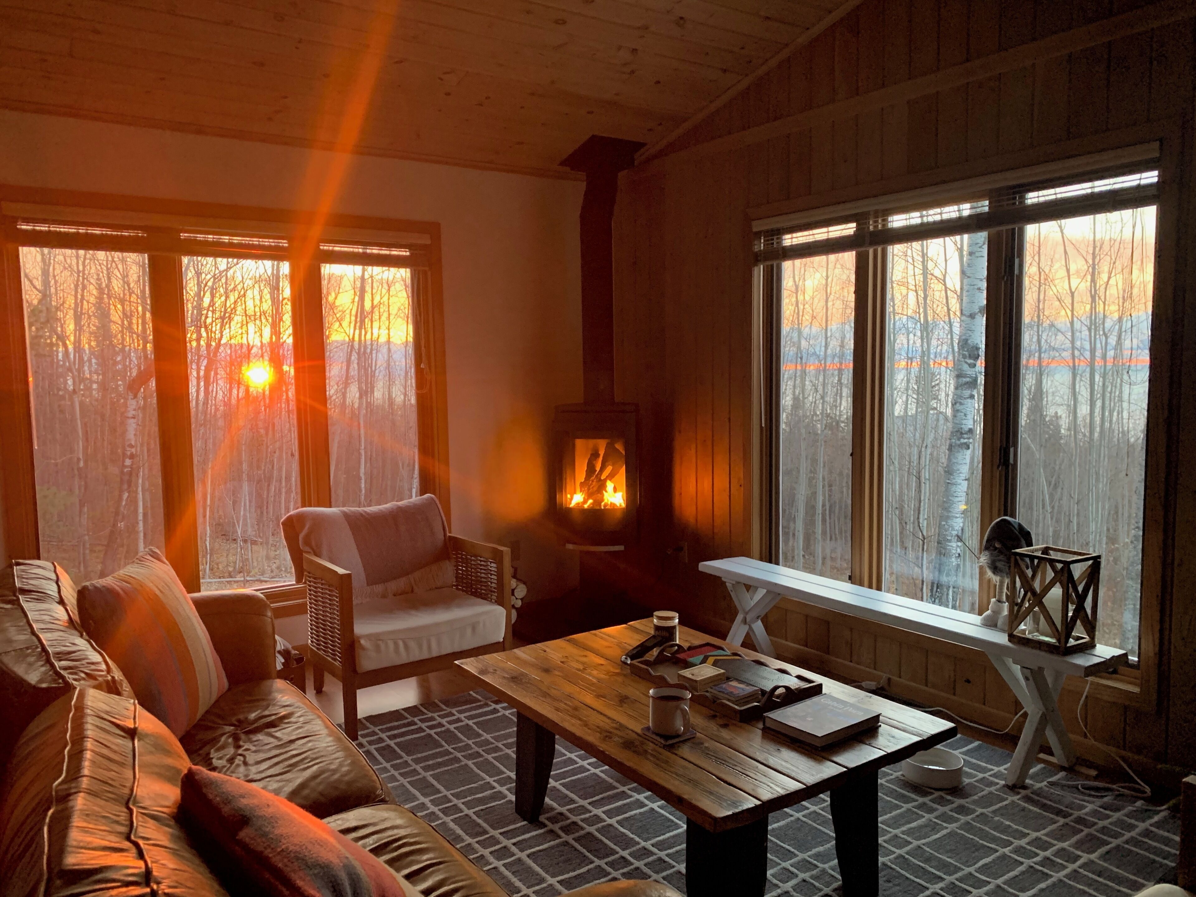 Smart TV, chimenea, libros y biblioteca musical 