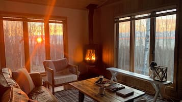 Smart TV, chimenea, libros y biblioteca musical