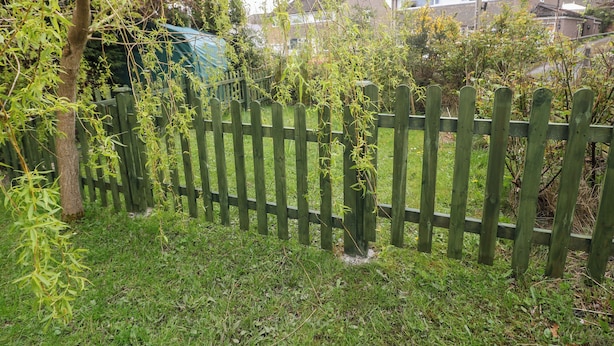 A wooden fence, a tree, and a house in the background.