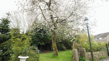 A garden with a large flowering tree, a stone wall, and a lamp post.