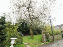 Un jardín con un gran árbol en flor, un muro de piedra y un farol.