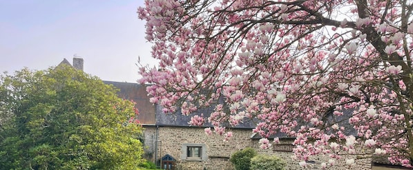 A stone building with a chimney, surrounded by lush greenery and blooming pink flowers.