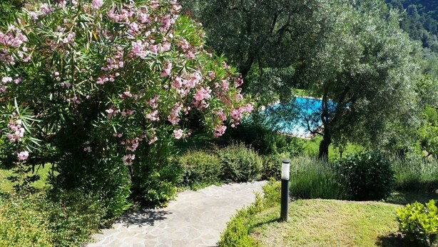 Ein steinbelagter Weg führt durch einen Garten mit blühenden rosa Blumen und einem Pool im Hintergrund.