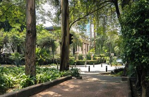 Property grounds - A Stylish Retreat in Roma Norte (Mexico City)