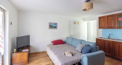 Charming mountain apartment: relaxation for couples, families and pets, bbq