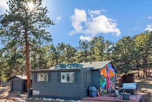 A small cabin with a number '559' on the side, a colorful mural on the side, and a barbecue area. - the Sheep Shack #6204 - Private Hot Tub - Mountain Views - 3 bedrooms - Fire Pit (Estes Park)