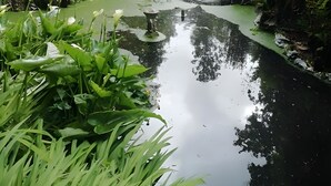 A serene garden with a pond, lush greenery, and a bridge. - Apartment 'Gîte 1' with Shared Terrace, Shared Garden and Wi-Fi (Carentan-les-Marais)