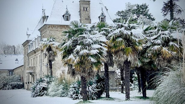 Un edificio storico con tetto innevato, palme e facciata in pietra.