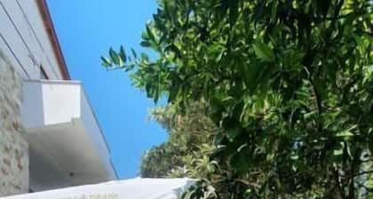 Xho's Forest Guest House