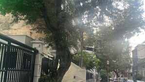 Een verharde straat met een trottoir langs bomen, een hekpoort en geparkeerde auto's.