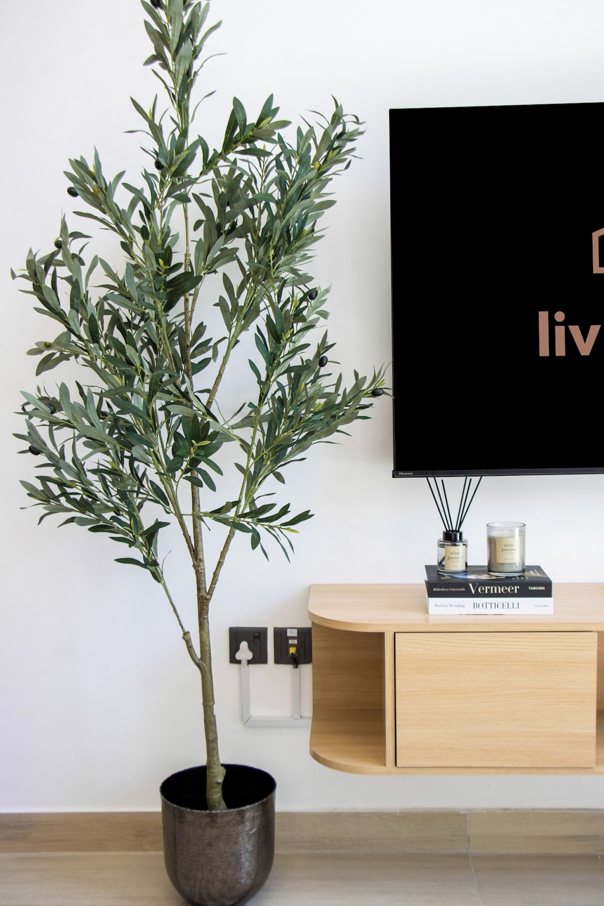 Ein Blumentopf mit Olivenbaum, ein Flachbildfernseher und eine Holzeinrichtung mit Büchern.