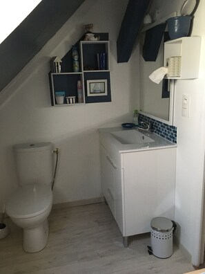Hair dryer, towels, soap, toilet paper