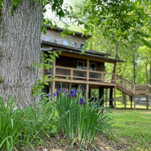 Property grounds - The Cumberland Collective - Treehouse Cumberland river boat ramp (Burkesville)