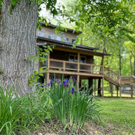 Property grounds. NEW listing! Treehouse~boatramp~river~fishing~4 twin beds