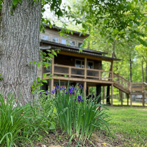NEW listing! Treehouse~boatramp~river~fishing~4 twin beds
