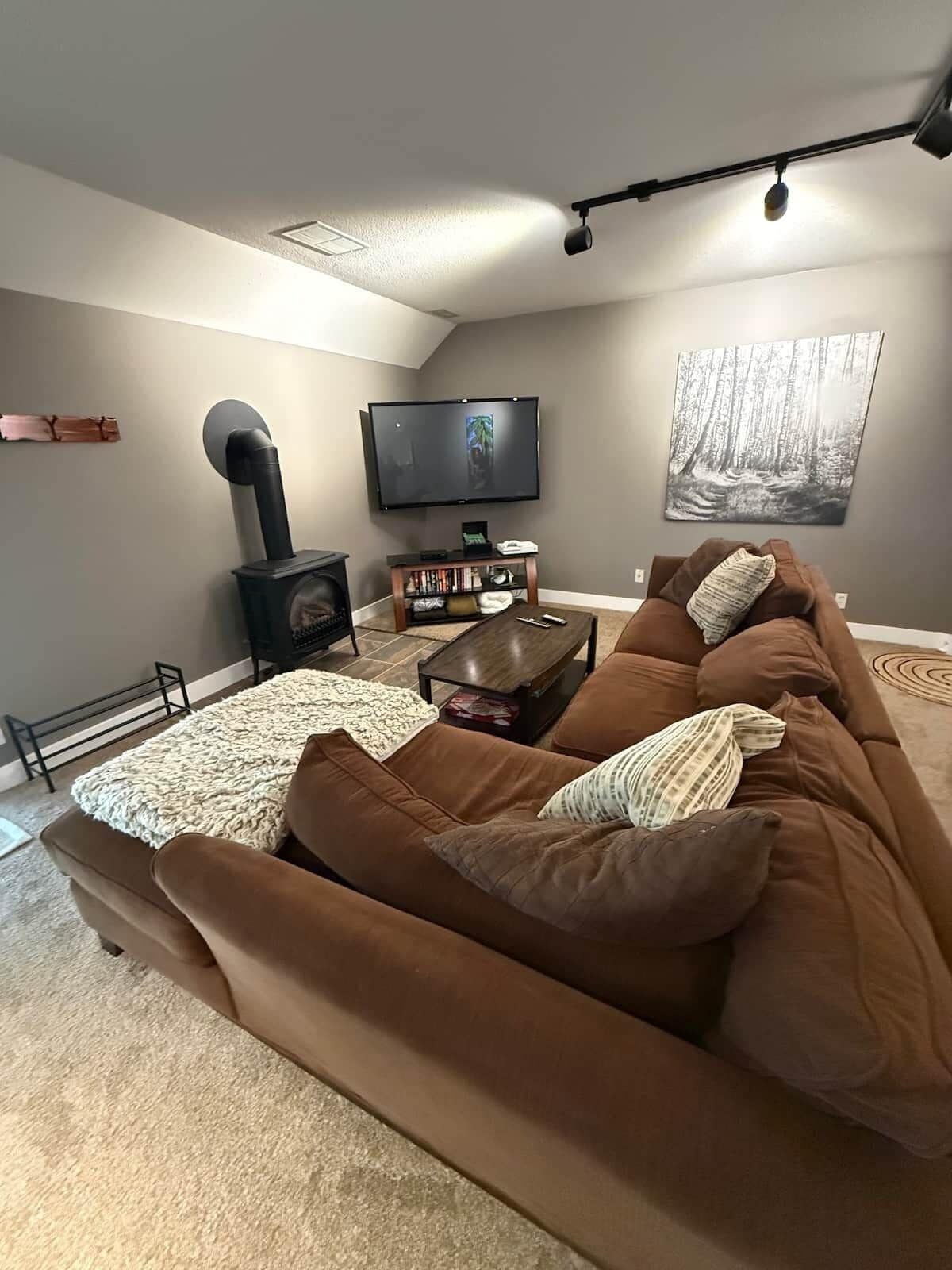 Fireplace, video games, books
