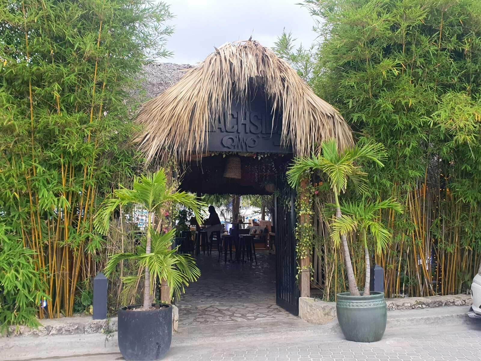 A covered entrance with a thatched roof, surrounded by bamboo and palm trees.