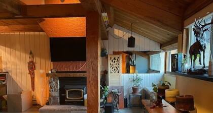 Delightful 2-bedroom condo in charming Steamboat Springs