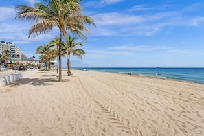 Ein sandiger Strand mit Palmen, wolkenlosem, blauem Himmel und ruhiger See.