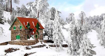 Mountain Retreat Studio with Forest & River Views by Cyprus Horizons