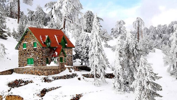 Una cabana de pedra amb teulada vermella i persianes verdes, envoltada d'arbres coberts de neu.