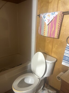 Bathroom - Perfect 1-bedroom lodge with AC in charming Selma just 2 miles from Paper Mill. (Selma)