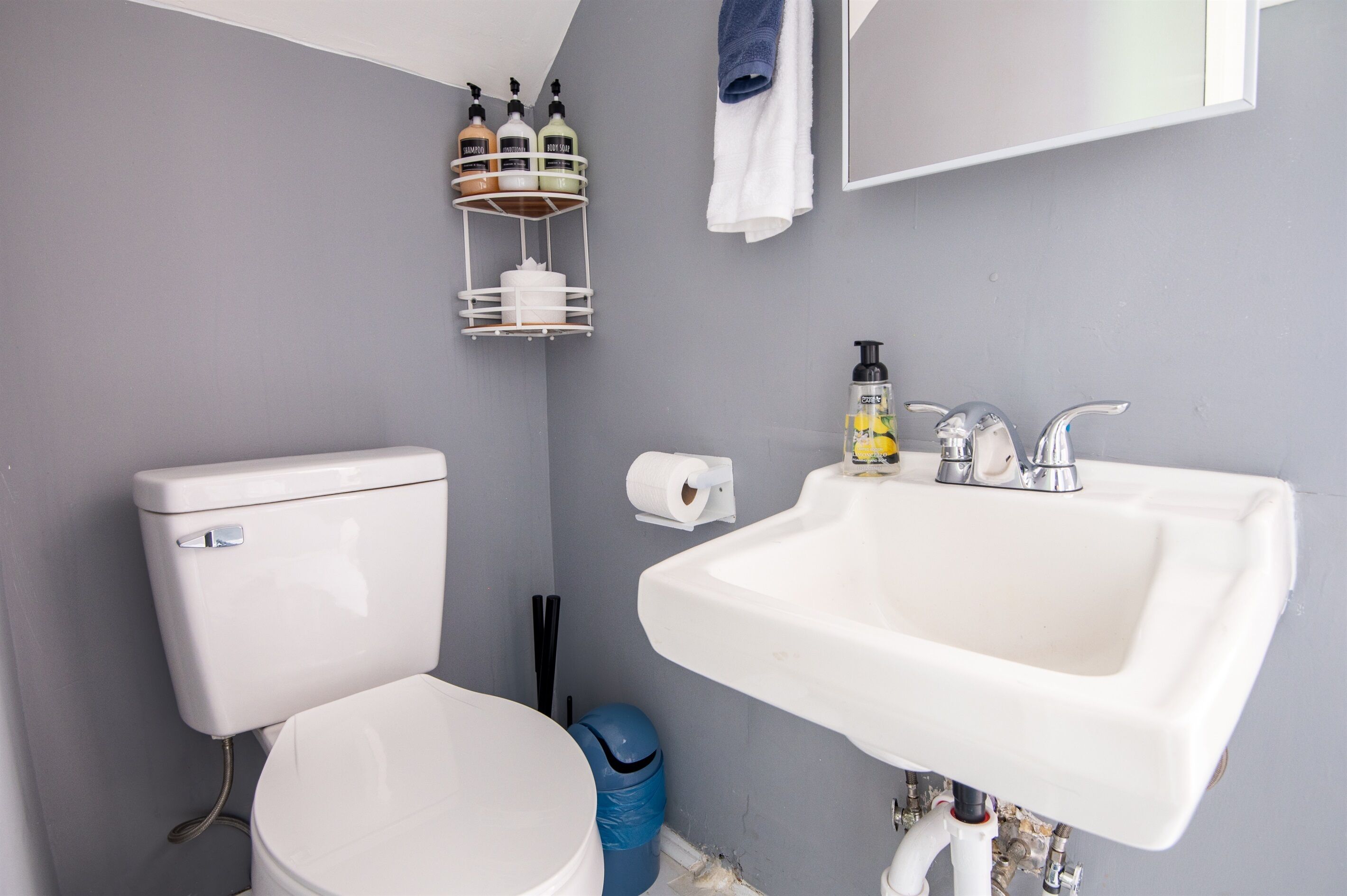 A bathroom with a toilet, sink, and a shelf with toiletries.