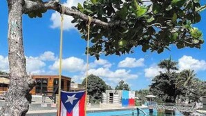 Una piscina cristalina con una bandera, árboles y un edificio al fondo.