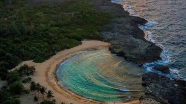 Un paisaje costero con una playa curva, costa rocosa y abundante vegetación.
