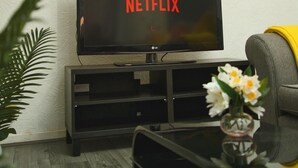 Een woonkamer met een televisie waarop 'NETFLIX' staat, een lijst met een kunstwerk erboven en een plant op de vloer.